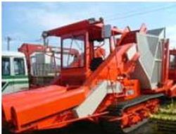 jiji203-3.jpg
